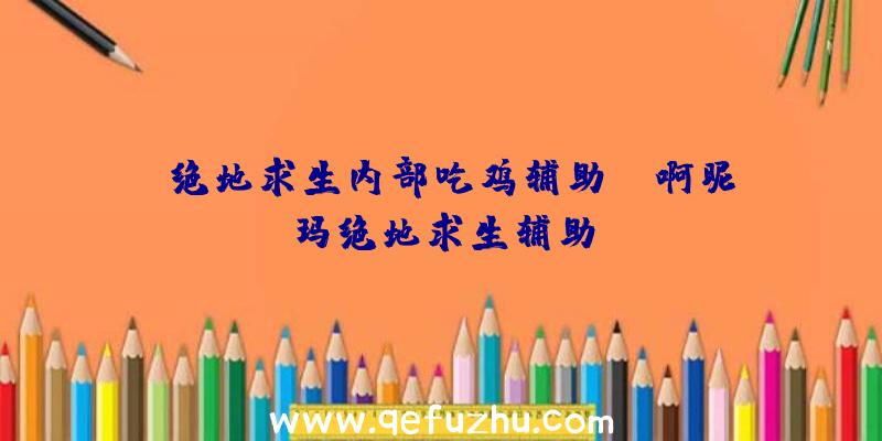 「绝地求生内部吃鸡辅助」|啊昵玛绝地求生辅助